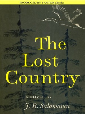 cover image of The Lost Country